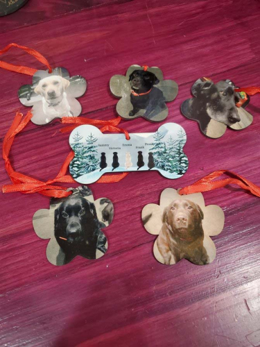 rHm8DH UTz2lVYSVhN aKw